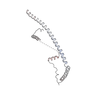 6839_5ylz_G_v2-1
Cryo-EM Structure of the Post-catalytic Spliceosome from Saccharomyces cerevisiae at 3.6 angstrom