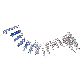 6839_5ylz_I_v1-1
Cryo-EM Structure of the Post-catalytic Spliceosome from Saccharomyces cerevisiae at 3.6 angstrom