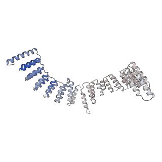 6839_5ylz_I_v2-0
Cryo-EM Structure of the Post-catalytic Spliceosome from Saccharomyces cerevisiae at 3.6 angstrom