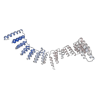 6839_5ylz_I_v2-1
Cryo-EM Structure of the Post-catalytic Spliceosome from Saccharomyces cerevisiae at 3.6 angstrom