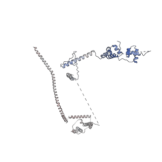 6839_5ylz_J_v2-1
Cryo-EM Structure of the Post-catalytic Spliceosome from Saccharomyces cerevisiae at 3.6 angstrom