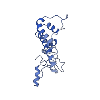 6839_5ylz_L_v1-1
Cryo-EM Structure of the Post-catalytic Spliceosome from Saccharomyces cerevisiae at 3.6 angstrom