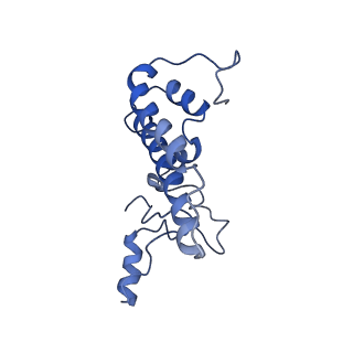 6839_5ylz_L_v2-1
Cryo-EM Structure of the Post-catalytic Spliceosome from Saccharomyces cerevisiae at 3.6 angstrom