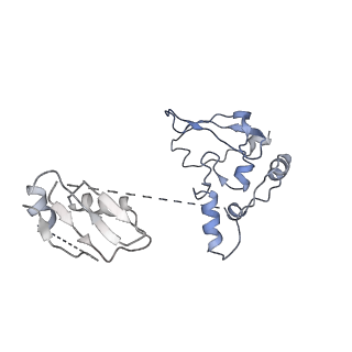 6839_5ylz_M_v2-1
Cryo-EM Structure of the Post-catalytic Spliceosome from Saccharomyces cerevisiae at 3.6 angstrom