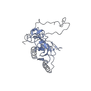 6839_5ylz_N_v2-0
Cryo-EM Structure of the Post-catalytic Spliceosome from Saccharomyces cerevisiae at 3.6 angstrom