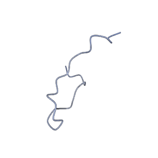 6839_5ylz_R_v2-1
Cryo-EM Structure of the Post-catalytic Spliceosome from Saccharomyces cerevisiae at 3.6 angstrom