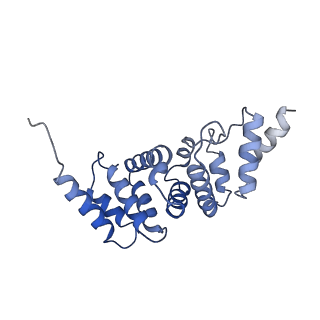 6839_5ylz_S_v2-0
Cryo-EM Structure of the Post-catalytic Spliceosome from Saccharomyces cerevisiae at 3.6 angstrom