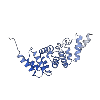 6839_5ylz_S_v2-1
Cryo-EM Structure of the Post-catalytic Spliceosome from Saccharomyces cerevisiae at 3.6 angstrom