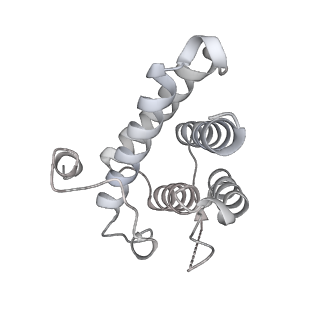 6839_5ylz_U_v2-1
Cryo-EM Structure of the Post-catalytic Spliceosome from Saccharomyces cerevisiae at 3.6 angstrom