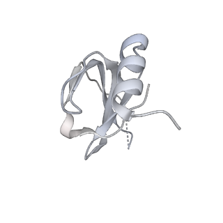 6839_5ylz_b_v1-1
Cryo-EM Structure of the Post-catalytic Spliceosome from Saccharomyces cerevisiae at 3.6 angstrom