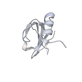 6839_5ylz_b_v2-1
Cryo-EM Structure of the Post-catalytic Spliceosome from Saccharomyces cerevisiae at 3.6 angstrom