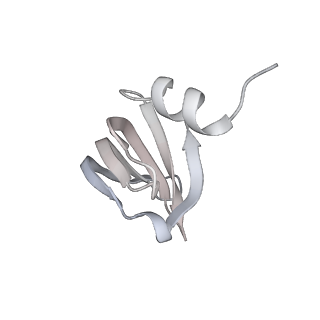 6839_5ylz_c_v2-1
Cryo-EM Structure of the Post-catalytic Spliceosome from Saccharomyces cerevisiae at 3.6 angstrom