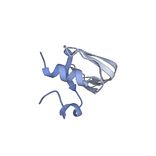 6839_5ylz_e_v1-1
Cryo-EM Structure of the Post-catalytic Spliceosome from Saccharomyces cerevisiae at 3.6 angstrom