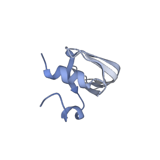 6839_5ylz_e_v2-1
Cryo-EM Structure of the Post-catalytic Spliceosome from Saccharomyces cerevisiae at 3.6 angstrom