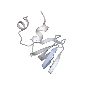 6839_5ylz_f_v1-1
Cryo-EM Structure of the Post-catalytic Spliceosome from Saccharomyces cerevisiae at 3.6 angstrom