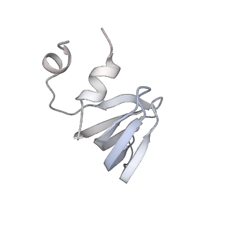 6839_5ylz_f_v2-0
Cryo-EM Structure of the Post-catalytic Spliceosome from Saccharomyces cerevisiae at 3.6 angstrom