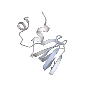 6839_5ylz_f_v2-1
Cryo-EM Structure of the Post-catalytic Spliceosome from Saccharomyces cerevisiae at 3.6 angstrom