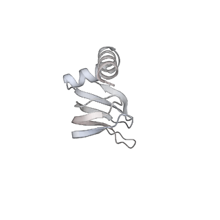 6839_5ylz_g_v2-1
Cryo-EM Structure of the Post-catalytic Spliceosome from Saccharomyces cerevisiae at 3.6 angstrom