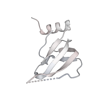 6839_5ylz_i_v2-1
Cryo-EM Structure of the Post-catalytic Spliceosome from Saccharomyces cerevisiae at 3.6 angstrom