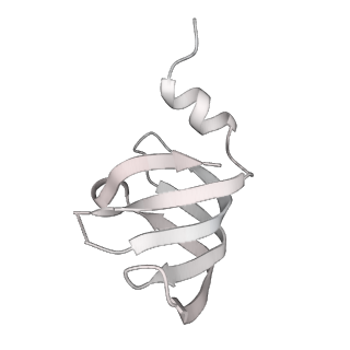 6839_5ylz_j_v2-1
Cryo-EM Structure of the Post-catalytic Spliceosome from Saccharomyces cerevisiae at 3.6 angstrom