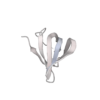 6839_5ylz_k_v2-1
Cryo-EM Structure of the Post-catalytic Spliceosome from Saccharomyces cerevisiae at 3.6 angstrom