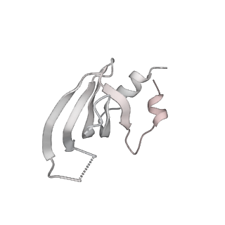 6839_5ylz_m_v2-1
Cryo-EM Structure of the Post-catalytic Spliceosome from Saccharomyces cerevisiae at 3.6 angstrom