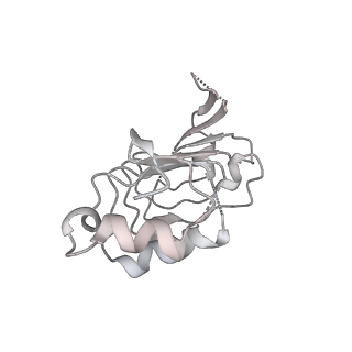 6839_5ylz_o_v1-1
Cryo-EM Structure of the Post-catalytic Spliceosome from Saccharomyces cerevisiae at 3.6 angstrom