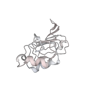 6839_5ylz_o_v2-0
Cryo-EM Structure of the Post-catalytic Spliceosome from Saccharomyces cerevisiae at 3.6 angstrom