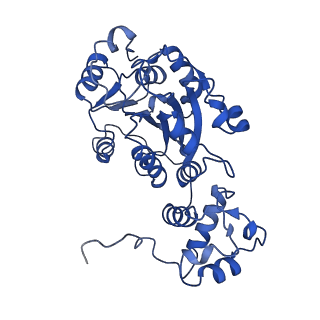 10845_6ymv_B_v1-4
Cryo-EM structure of yeast mitochondrial RNA polymerase partially-melted transcription initiation complex (PmIC)