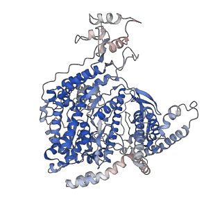 10846_6ymw_A_v1-3
Cryo-EM structure of yeast mitochondrial RNA polymerase transcription initiation complex