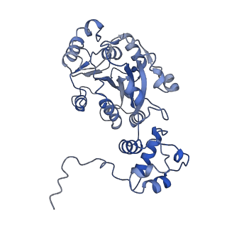 10846_6ymw_B_v1-3
Cryo-EM structure of yeast mitochondrial RNA polymerase transcription initiation complex
