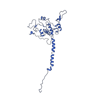 10847_6ymx_D_v1-1
CIII2/CIV respiratory supercomplex from Saccharomyces cerevisiae