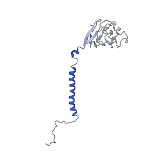 10847_6ymx_E_v1-1
CIII2/CIV respiratory supercomplex from Saccharomyces cerevisiae