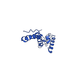 10847_6ymx_G_v1-1
CIII2/CIV respiratory supercomplex from Saccharomyces cerevisiae