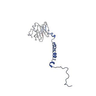 10847_6ymx_P_v1-1
CIII2/CIV respiratory supercomplex from Saccharomyces cerevisiae
