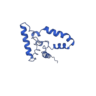 10847_6ymx_R_v1-1
CIII2/CIV respiratory supercomplex from Saccharomyces cerevisiae