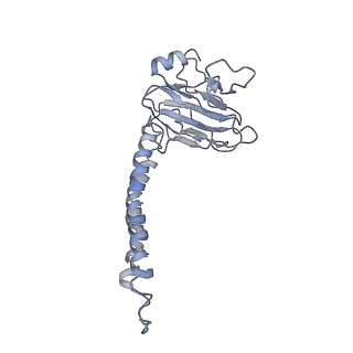 10847_6ymx_b_v1-1
CIII2/CIV respiratory supercomplex from Saccharomyces cerevisiae