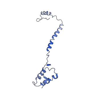 10847_6ymx_e_v1-1
CIII2/CIV respiratory supercomplex from Saccharomyces cerevisiae