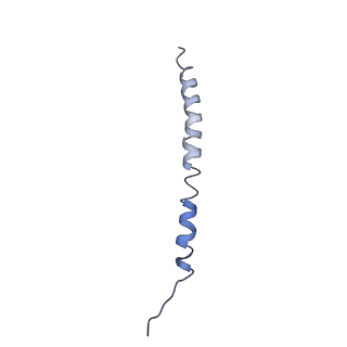 10847_6ymx_i_v1-1
CIII2/CIV respiratory supercomplex from Saccharomyces cerevisiae