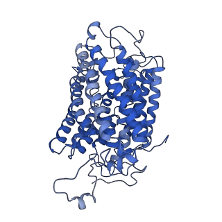 10848_6ymy_a_v1-1
Cytochrome c oxidase from Saccharomyces cerevisiae