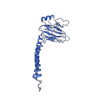 10848_6ymy_b_v1-1
Cytochrome c oxidase from Saccharomyces cerevisiae