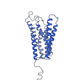 10848_6ymy_c_v1-1
Cytochrome c oxidase from Saccharomyces cerevisiae