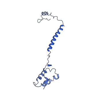 10848_6ymy_e_v1-1
Cytochrome c oxidase from Saccharomyces cerevisiae