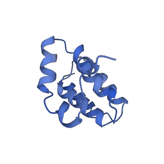 10848_6ymy_f_v1-1
Cytochrome c oxidase from Saccharomyces cerevisiae