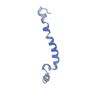 10848_6ymy_g_v1-1
Cytochrome c oxidase from Saccharomyces cerevisiae