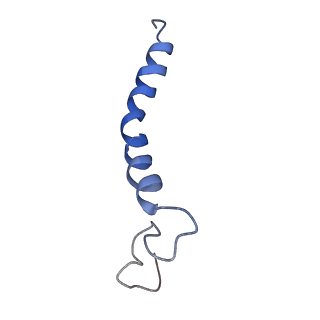 10848_6ymy_h_v1-1
Cytochrome c oxidase from Saccharomyces cerevisiae