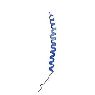 10848_6ymy_i_v1-1
Cytochrome c oxidase from Saccharomyces cerevisiae
