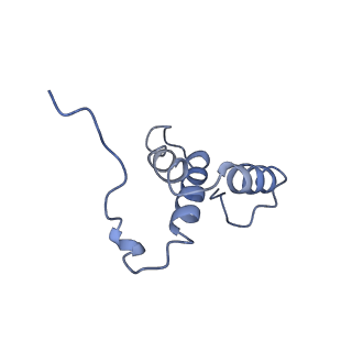 10848_6ymy_j_v1-1
Cytochrome c oxidase from Saccharomyces cerevisiae