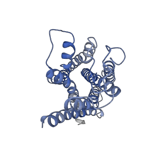33924_7ym8_A_v1-0
Cryo-EM structure of Nb29-alpha1AAR-miniGsq complex bound to oxymetazoline