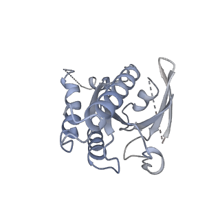 33924_7ym8_B_v1-0
Cryo-EM structure of Nb29-alpha1AAR-miniGsq complex bound to oxymetazoline